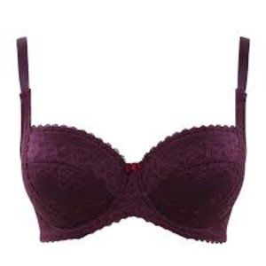 Panache Petra bra plum/raspberry BNWT 34GG